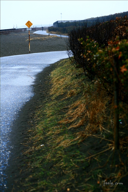 Beach Photograph - 2012.02.23 No.7 